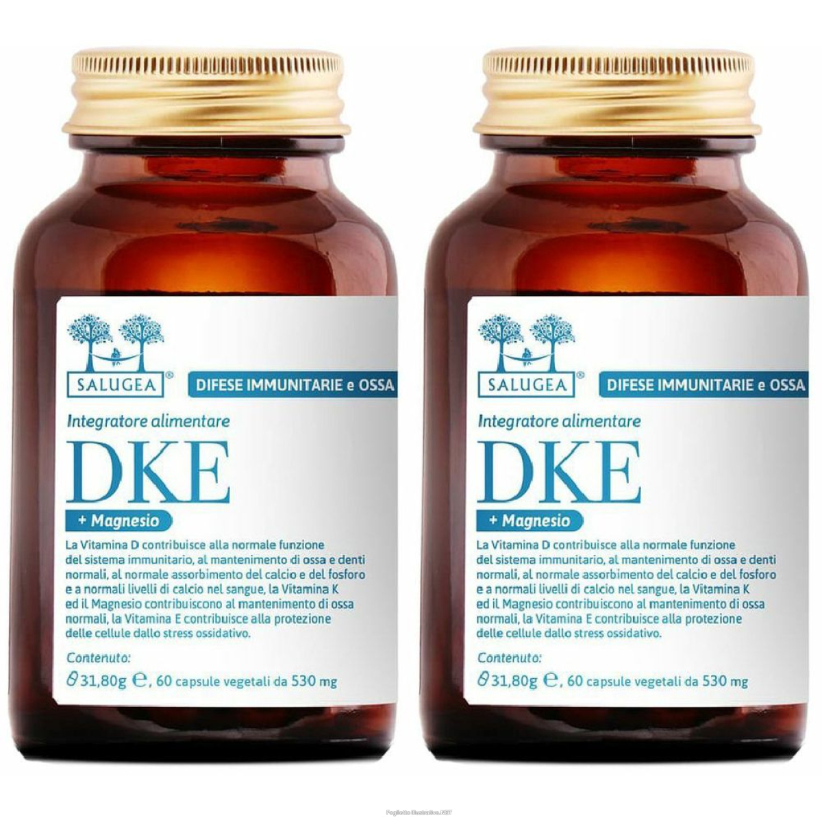 Cerca Offerte di salugea® dke + magnesio set da 2 2x31,08 g capsule e acquista online