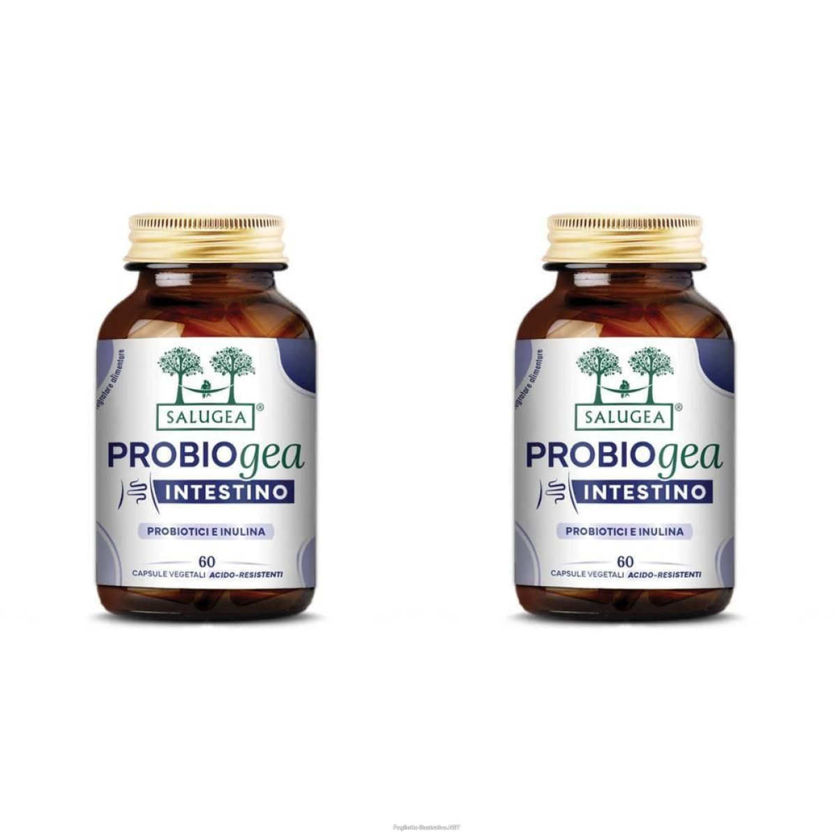 Cerca Offerte di salugea probiogea intestino capsule 2x32,7 g e acquista online
