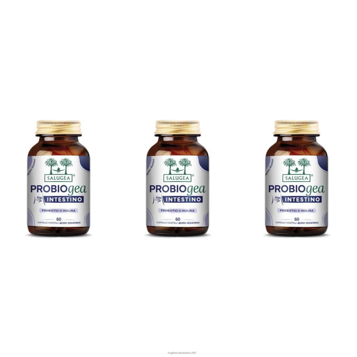 Cerca Offerte di salugea probiogea intestino capsule 3x32,7 g e acquista online