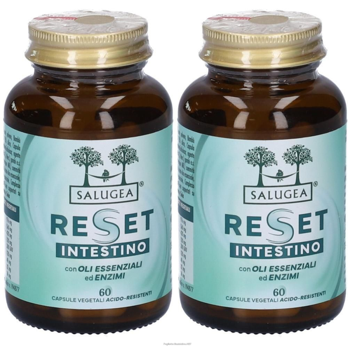 Cerca Offerte di salugea reset intestino capsule 2x33 g e acquista online