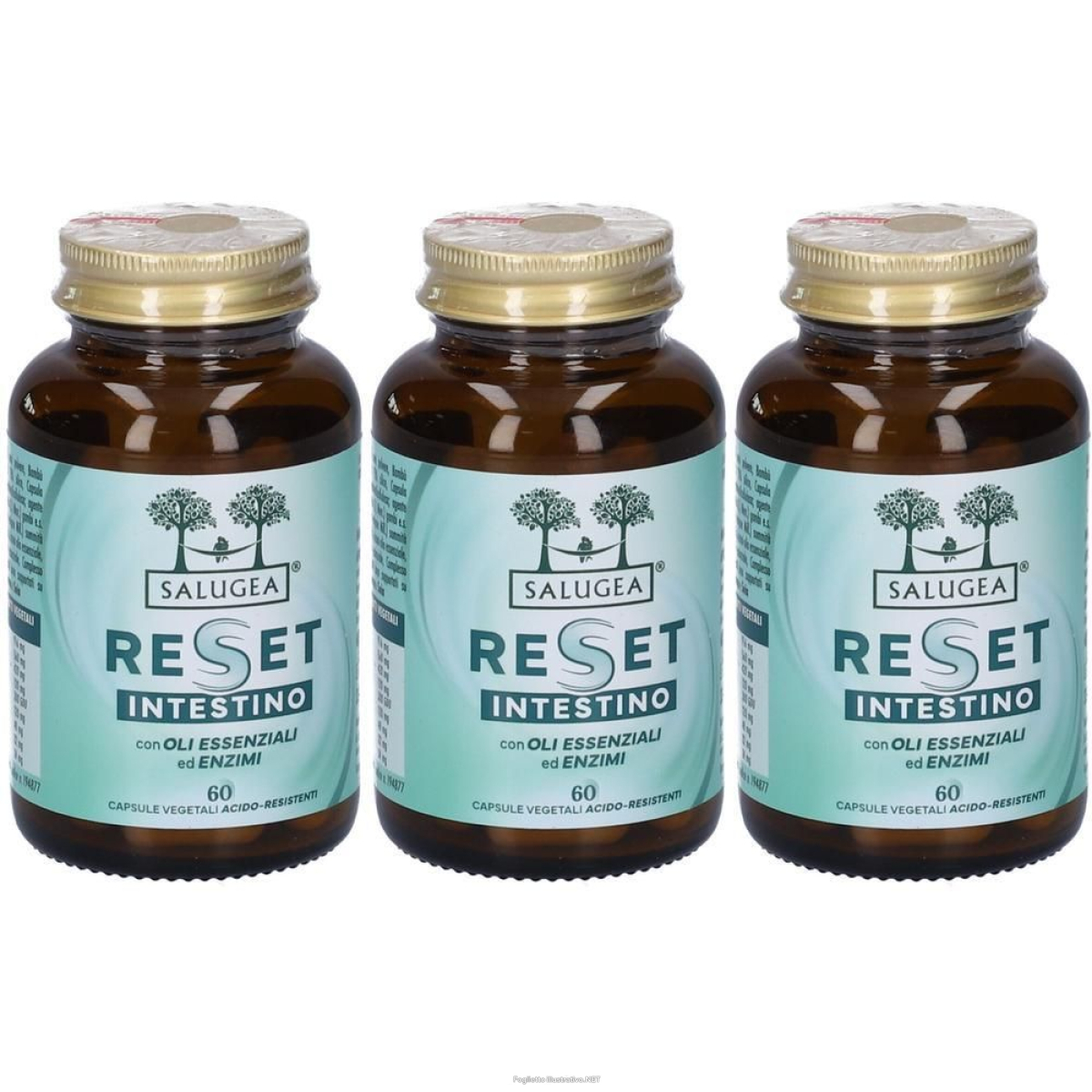 Cerca Offerte di salugea reset intestino capsule 3x33 g e acquista online