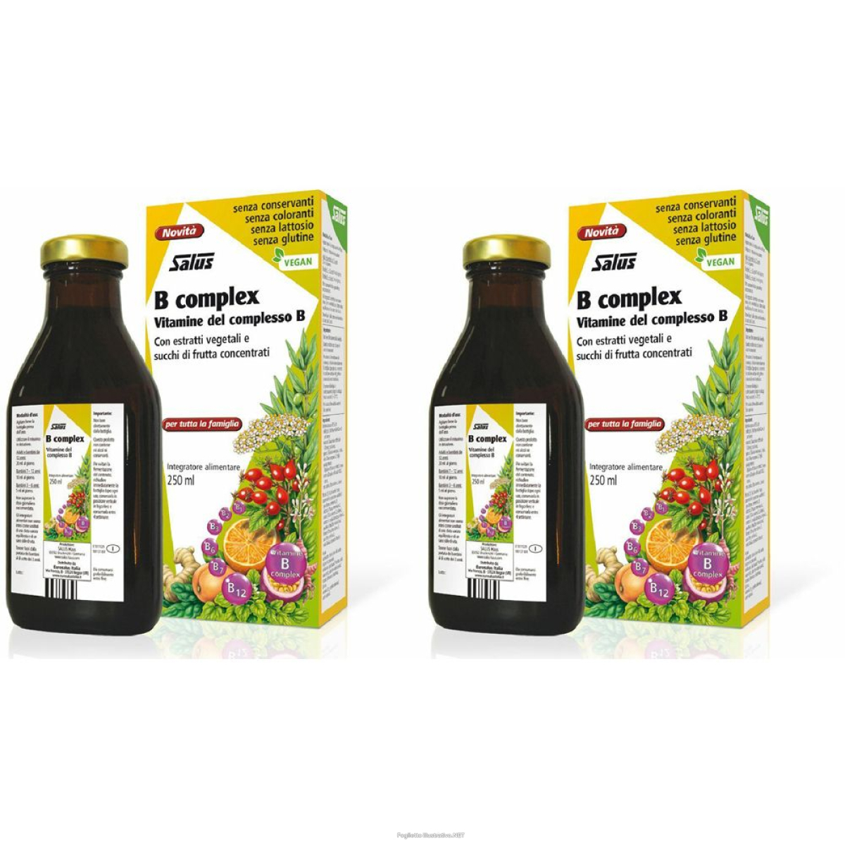Cerca Offerte di salus b complex set da 2 2x250 ml soluzione orale e acquista online