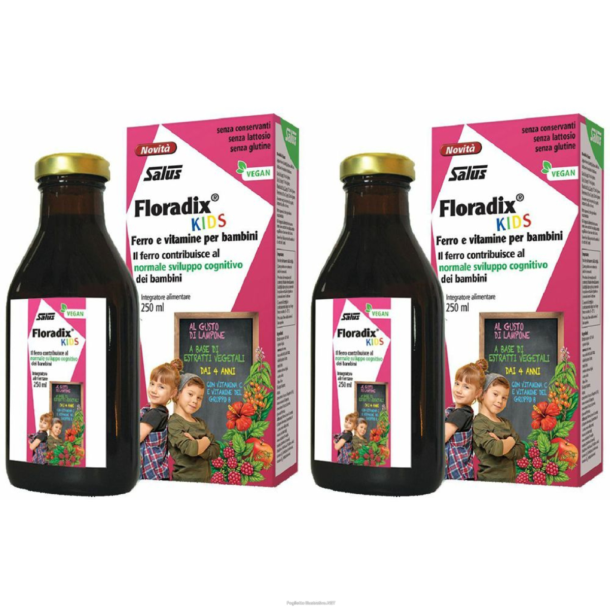 Cerca Offerte di salus floradix® kids set da 2 2x250 ml soluzione orale e acquista online