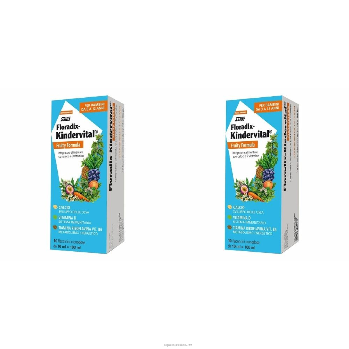 Cerca Offerte di salus floradix-kindervital fruity formula set da 2 ml flaconcini bevib e acquista online