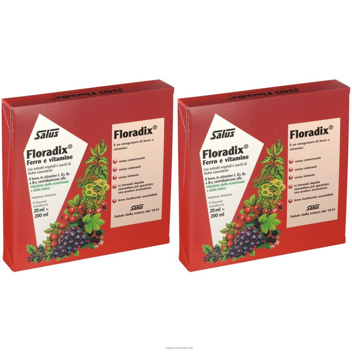 Cerca Offerte di salus floradix ® monodose set da 2 2x200 ml soluzione orale e acquista online