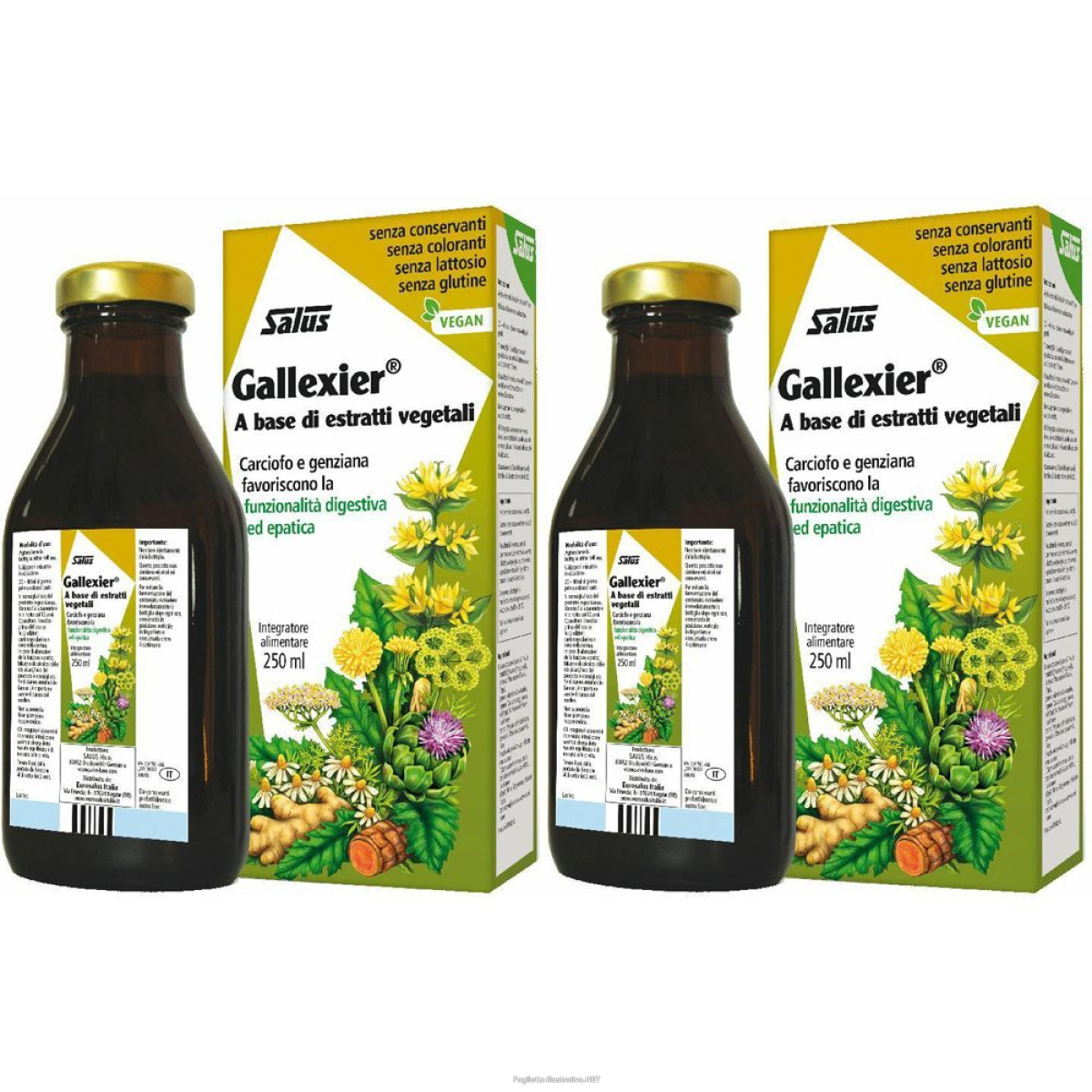 Cerca Offerte di salus gallexier® set da 2 2x250 ml soluzione orale e acquista online