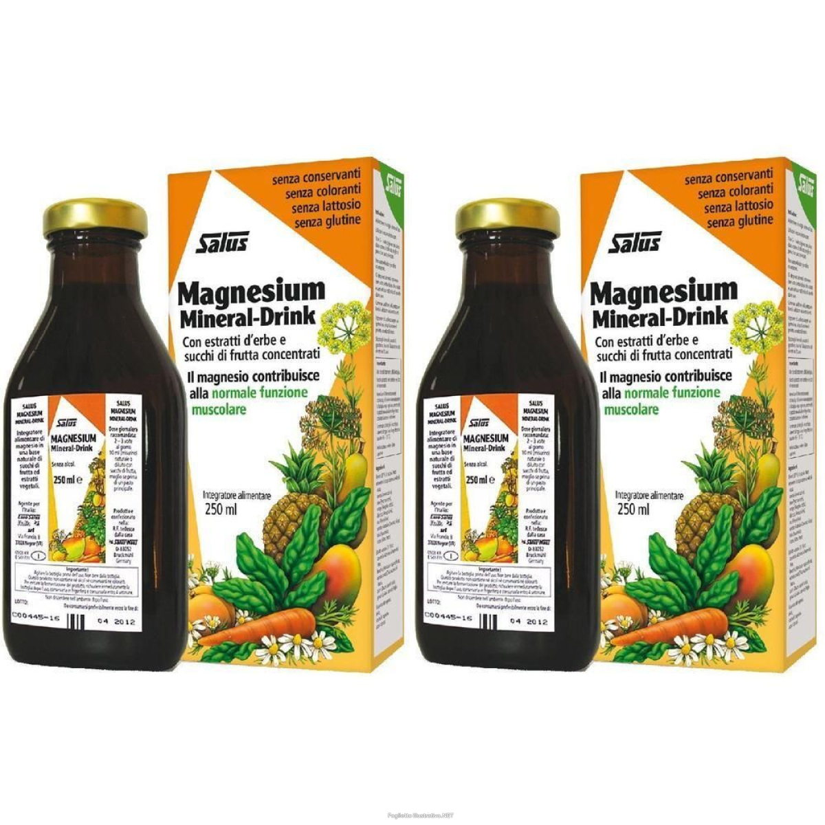 Cerca Offerte di salus haus mangesium mineral-drink 2x250 ml sciroppo e acquista online