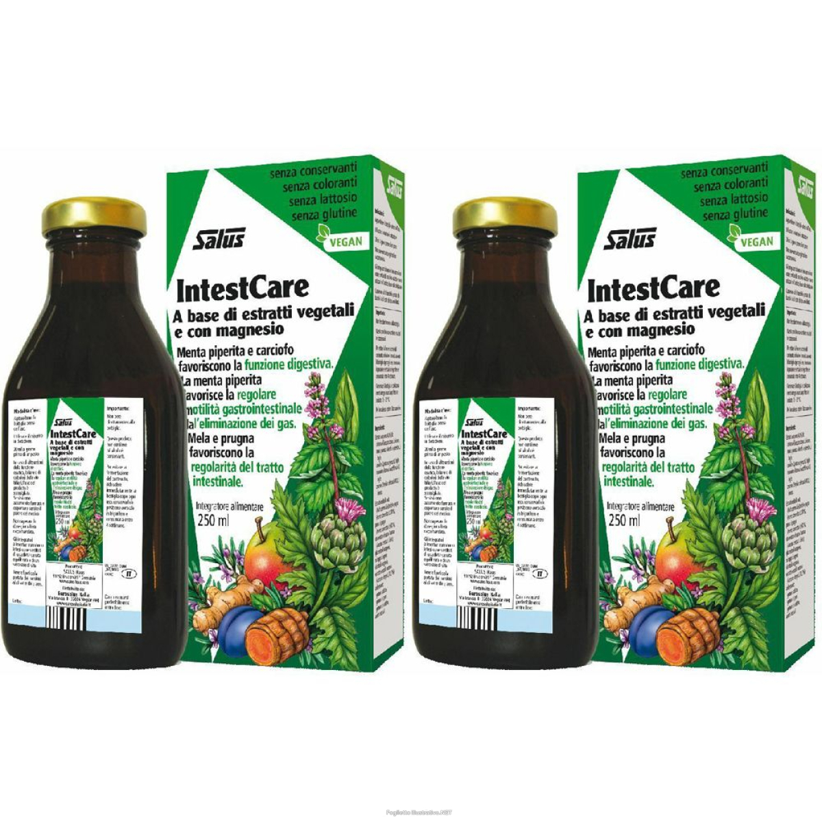 Cerca Offerte di salus intestcare set da 2 2x250 ml soluzione orale e acquista online