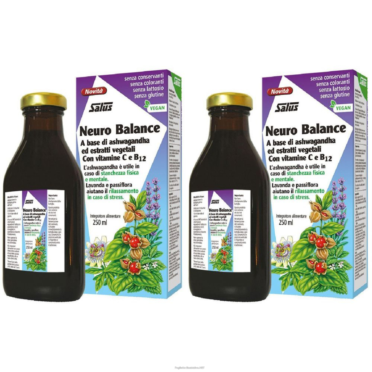 Cerca Offerte di salus neuro balnce 250 ml set da 2 2x250 soluzione orale e acquista online