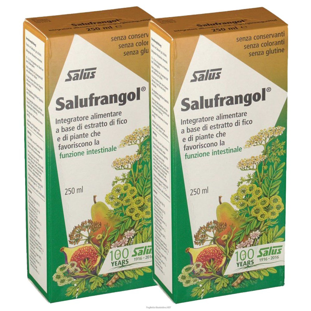 Cerca Offerte di salus salufrangol® set da 2 2x250 ml lozione e acquista online