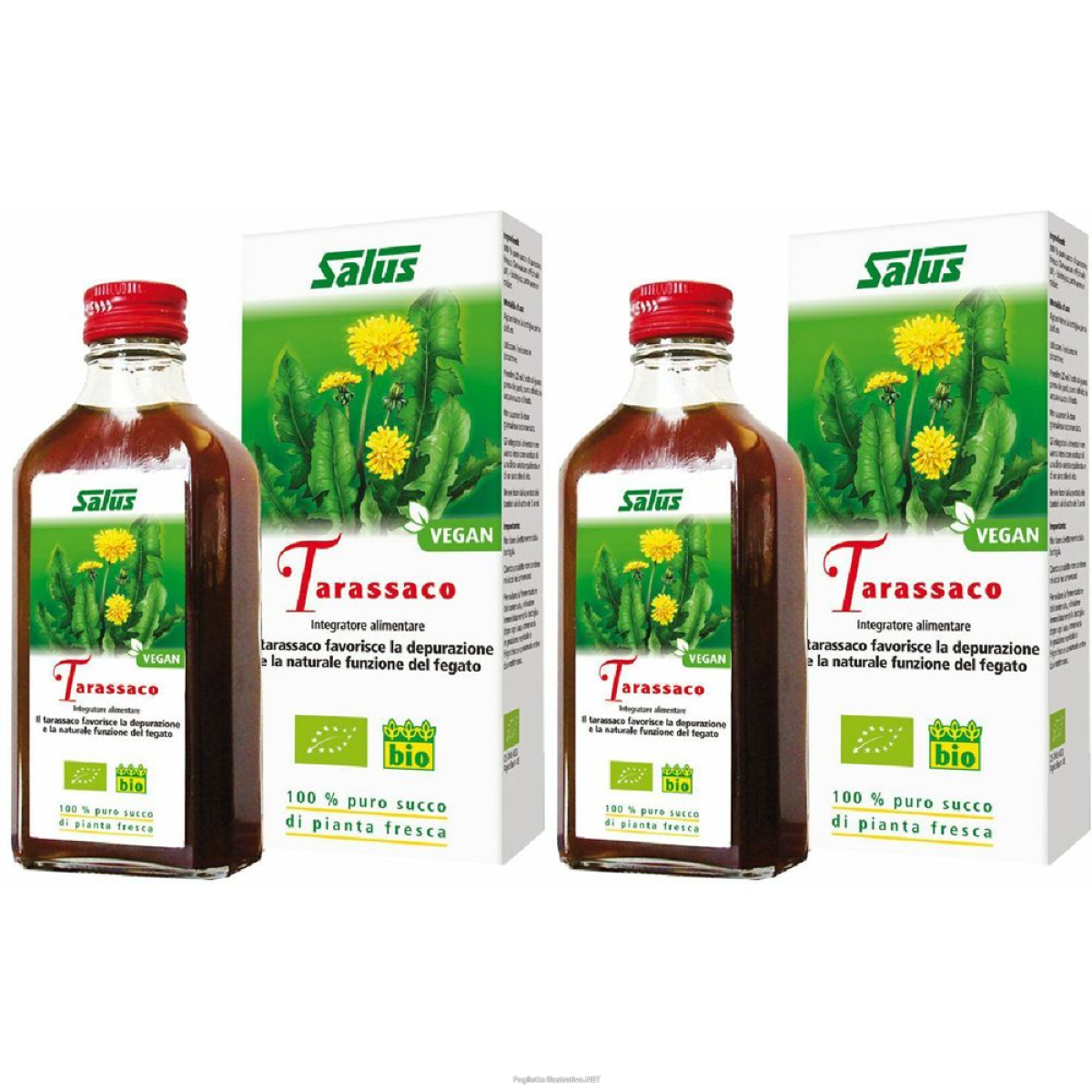 Cerca Offerte di salus tarassaco set da 2 2x200 ml sciroppo e acquista online