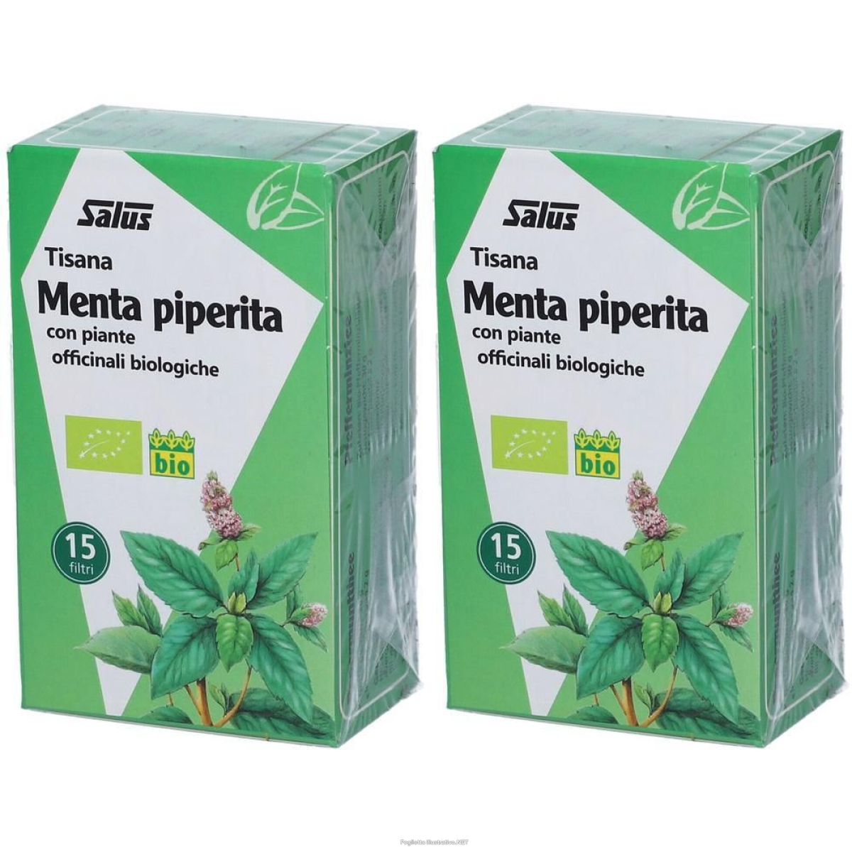 Cerca Offerte di salus tisana menta piperiata 2x30 g bustine filtro e acquista online