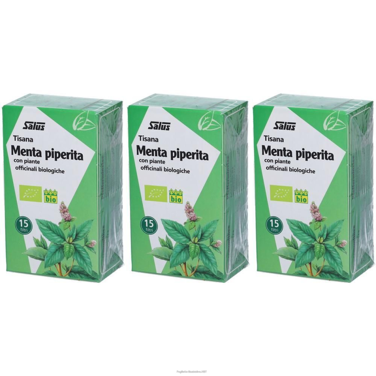 Cerca Offerte di salus tisana menta piperiata 3x30 g bustine filtro e acquista online