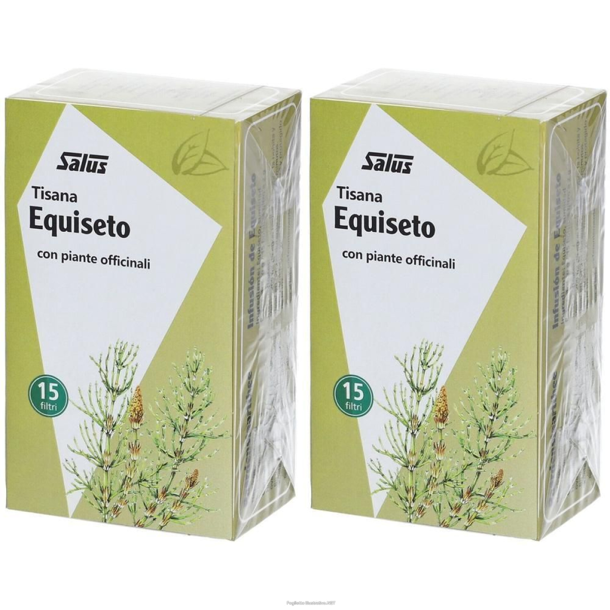 Cerca Offerte di saluz tisana equiseto 2x30 g e acquista online