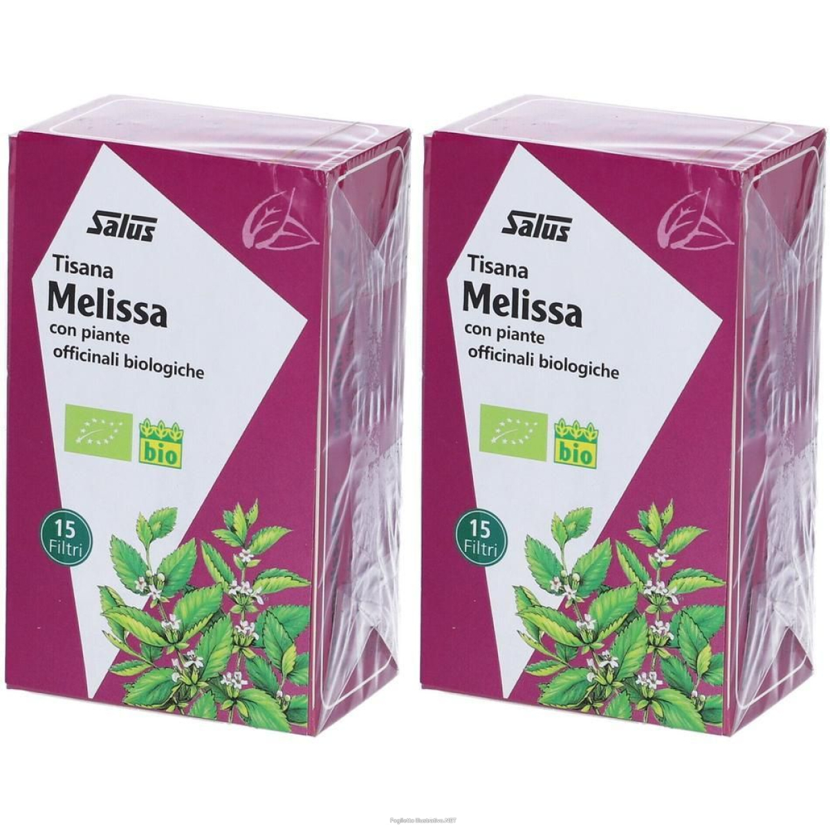 Cerca Offerte di saluz tisana melissa 2x24 g e acquista online
