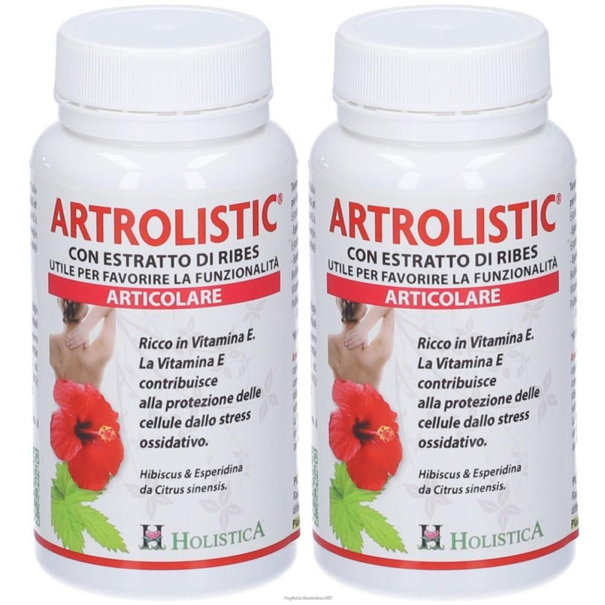 Cerca Offerte di sangalli artrolistic holistica capsule 2x60 st e acquista online