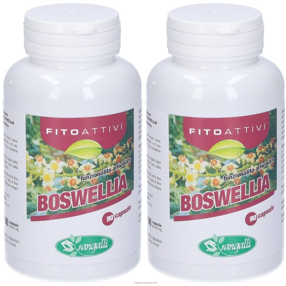 Cerca Offerte di sangalli fitoattivi boswellia capsule 2x1 pz e acquista online