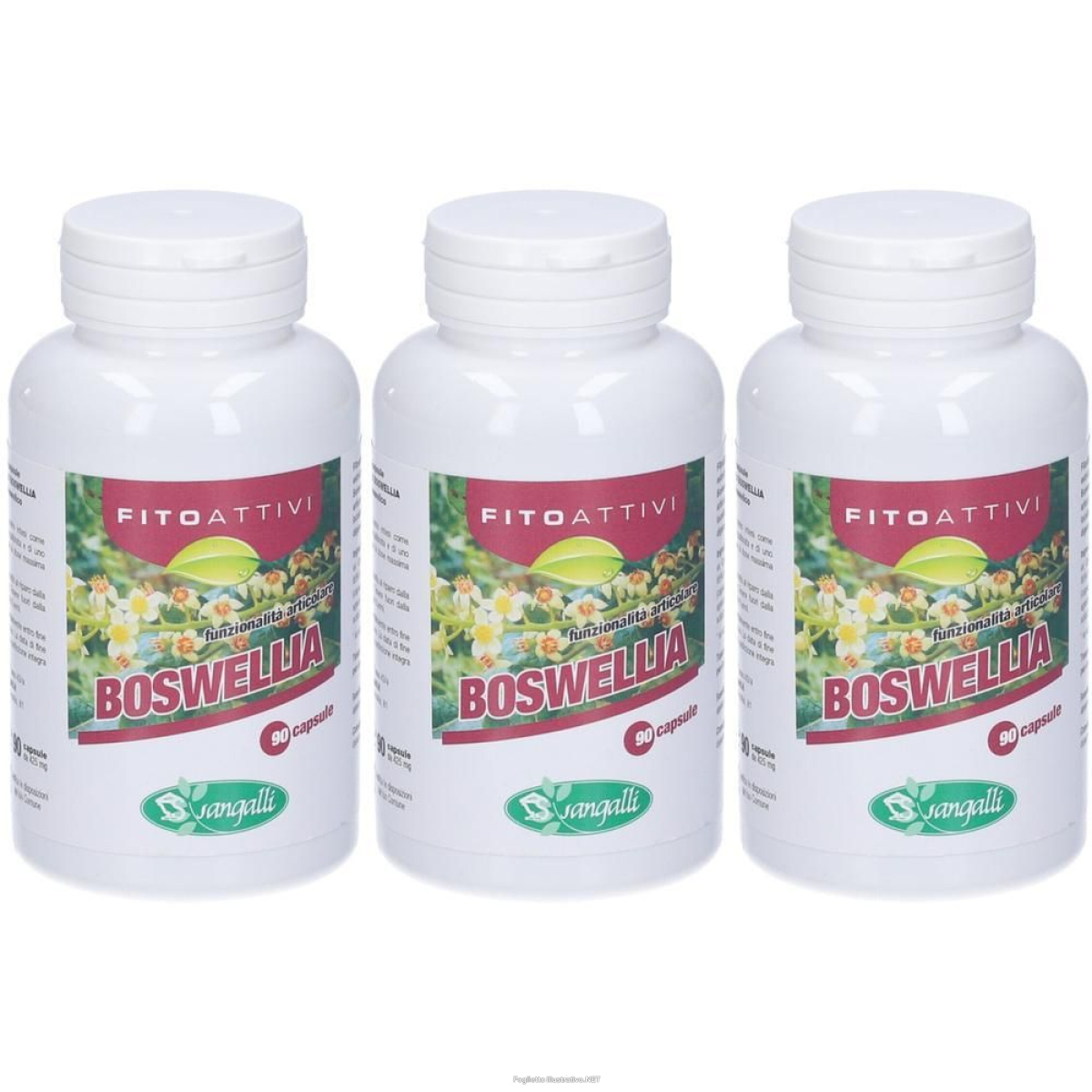Cerca Offerte di sangalli fitoattivi boswellia capsule 3x1 pz e acquista online