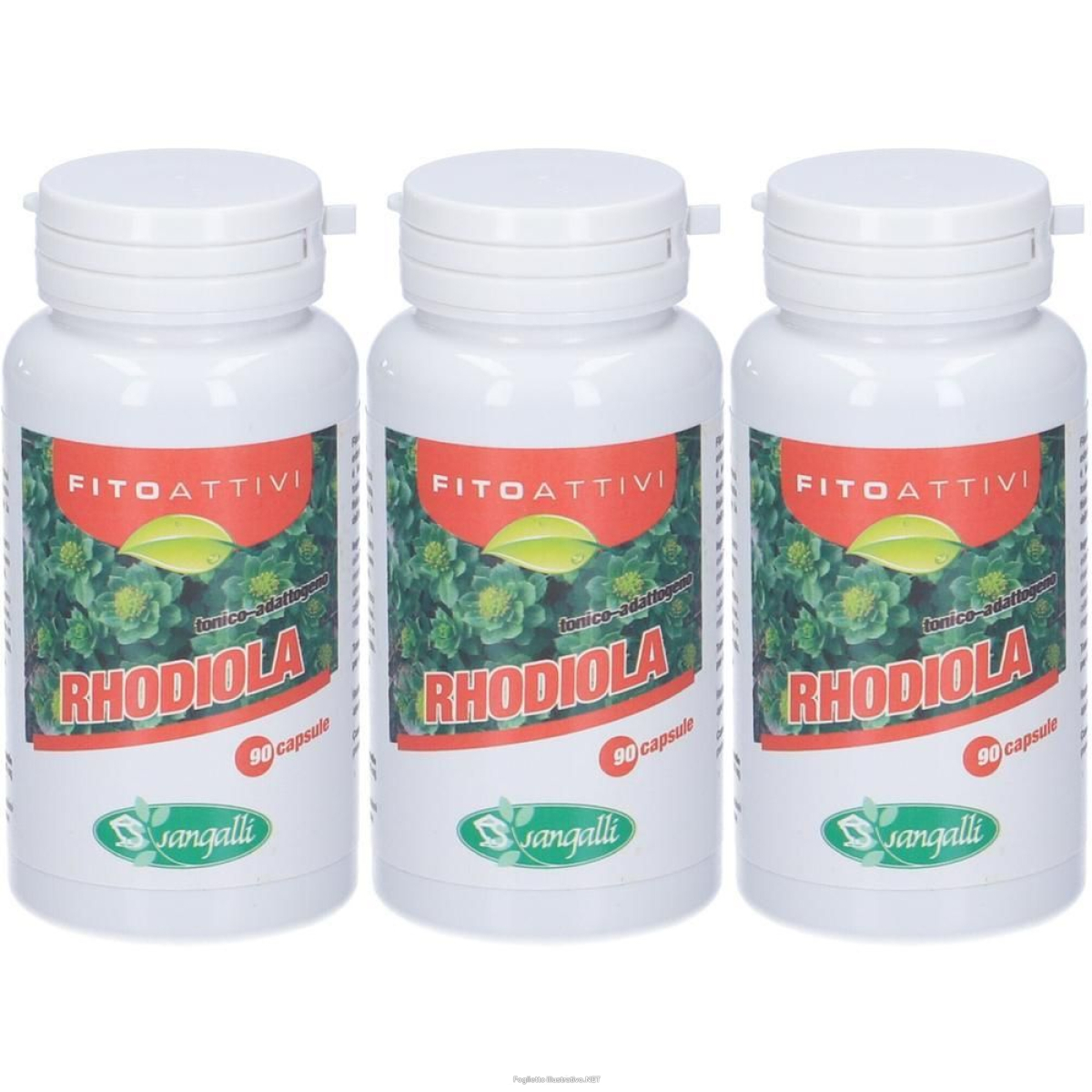 Cerca Offerte di sangalli fitoattivi rhodiola capsule 3x42,72 g e acquista online