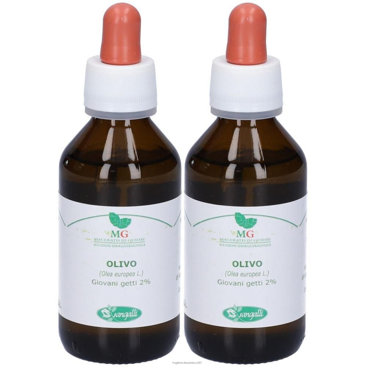 Cerca Offerte di sangalli olivo macerato glicerico gocce 100 ml soluzione orale e acquista online