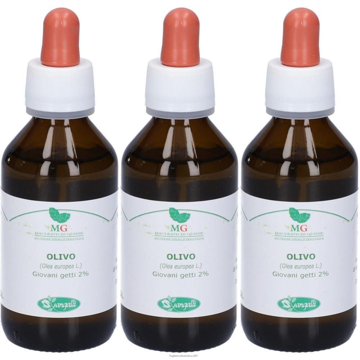 Cerca Offerte di sangalli olivo macerato glicerico gocce 100 ml soluzione orale e acquista online