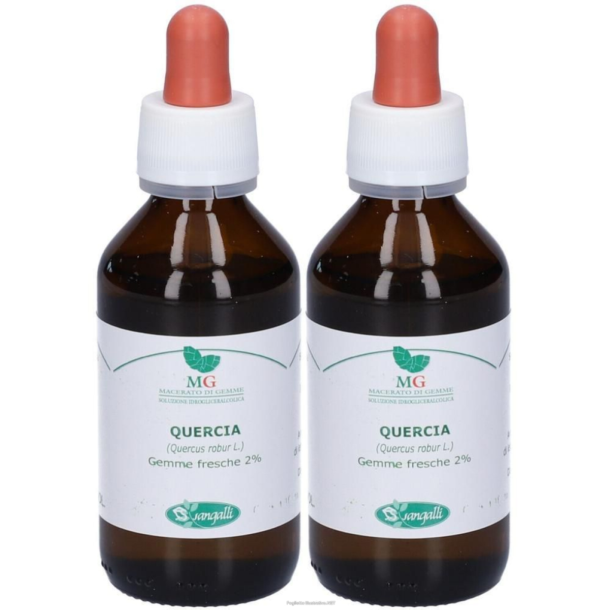 Cerca Offerte di sangalli quercia penducolata macerato glicerico gocce 2x100 ml soluzio e acquista online