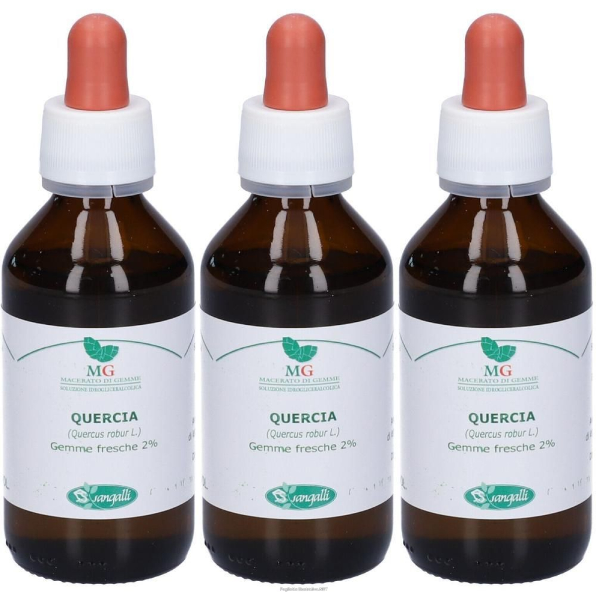 Cerca Offerte di sangalli quercia penducolata macerato glicerico gocce 3x100 ml soluzio e acquista online