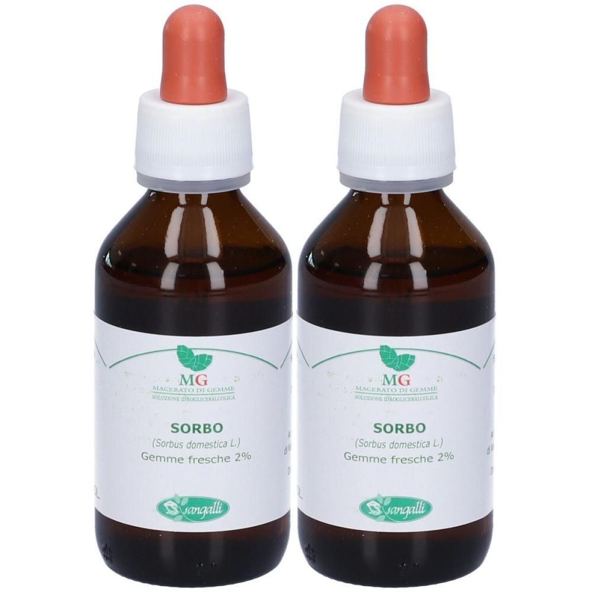 Cerca Offerte di sangalli sorbo macerato glicerico gocce 2x100 ml soluzione orale e acquista online