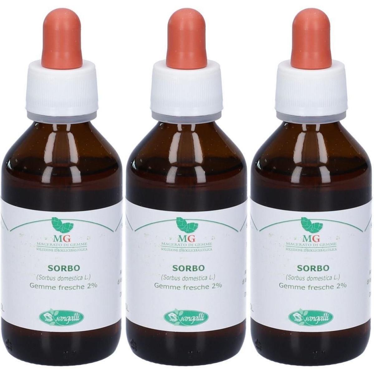 Cerca Offerte di sangalli sorbo macerato glicerico gocce 3x100 ml soluzione orale e acquista online