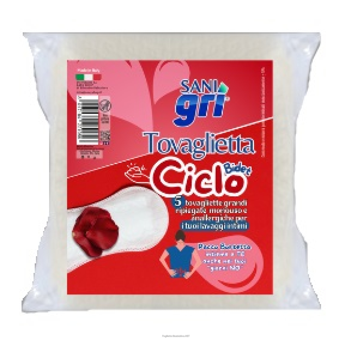 Cerca Offerte di sani gri ciclo tov bidet 5pz e acquista online