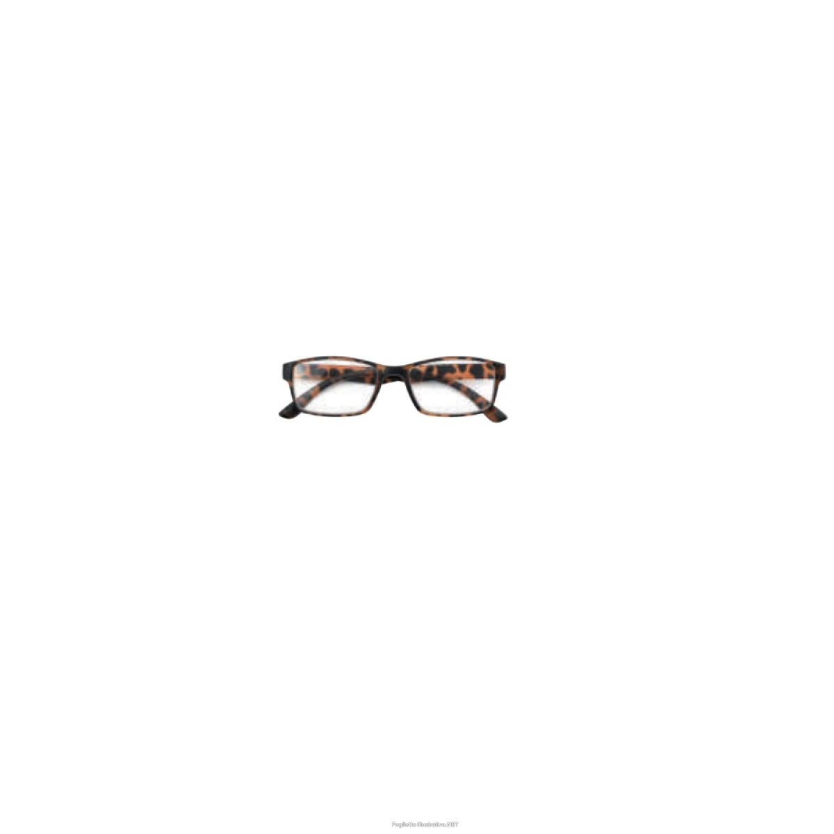 Cerca Offerte di sanico ticino turtle occhiali da lettura +2,00 e acquista online