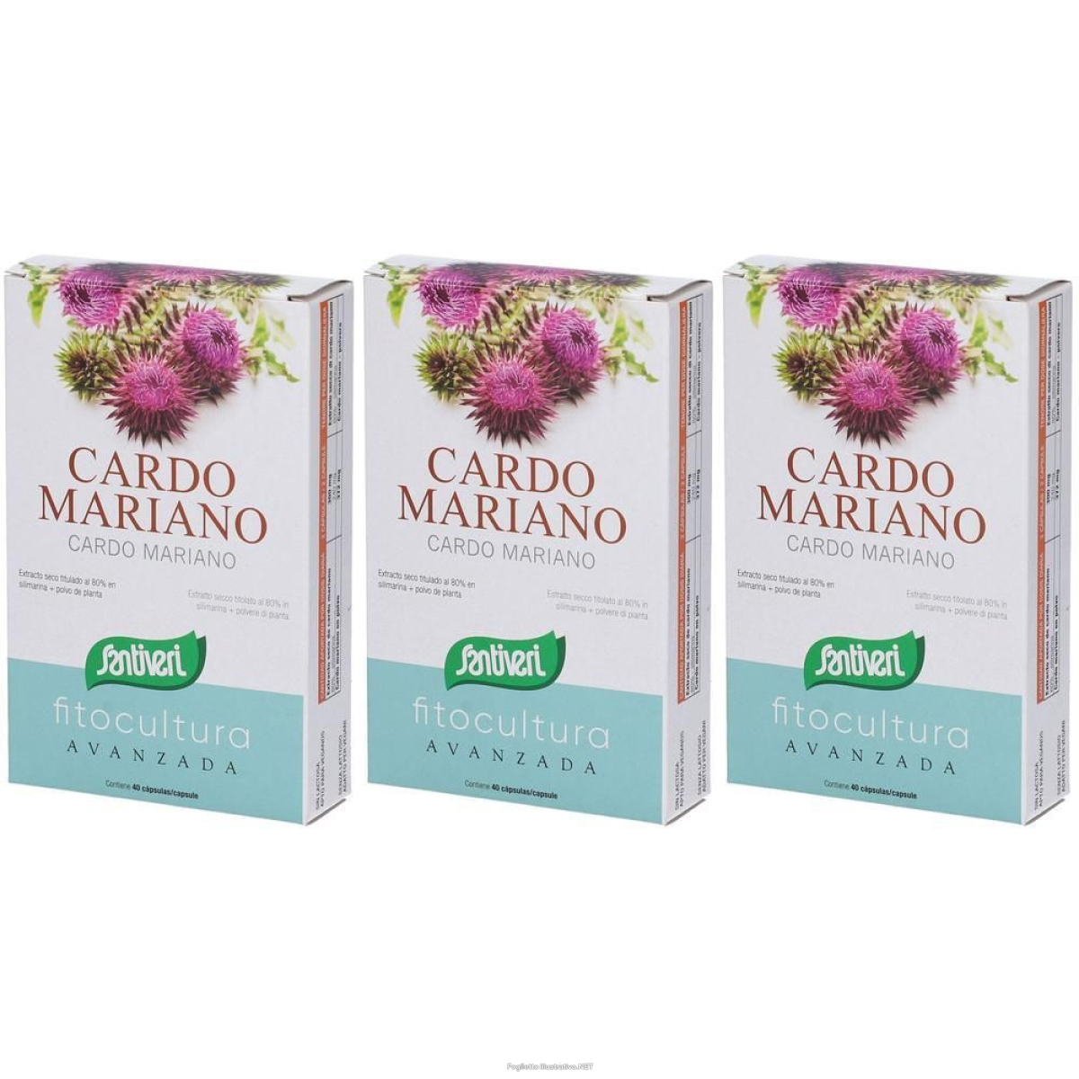 Cerca Offerte di santiveri cardo mariano 3x18 g capsule e acquista online