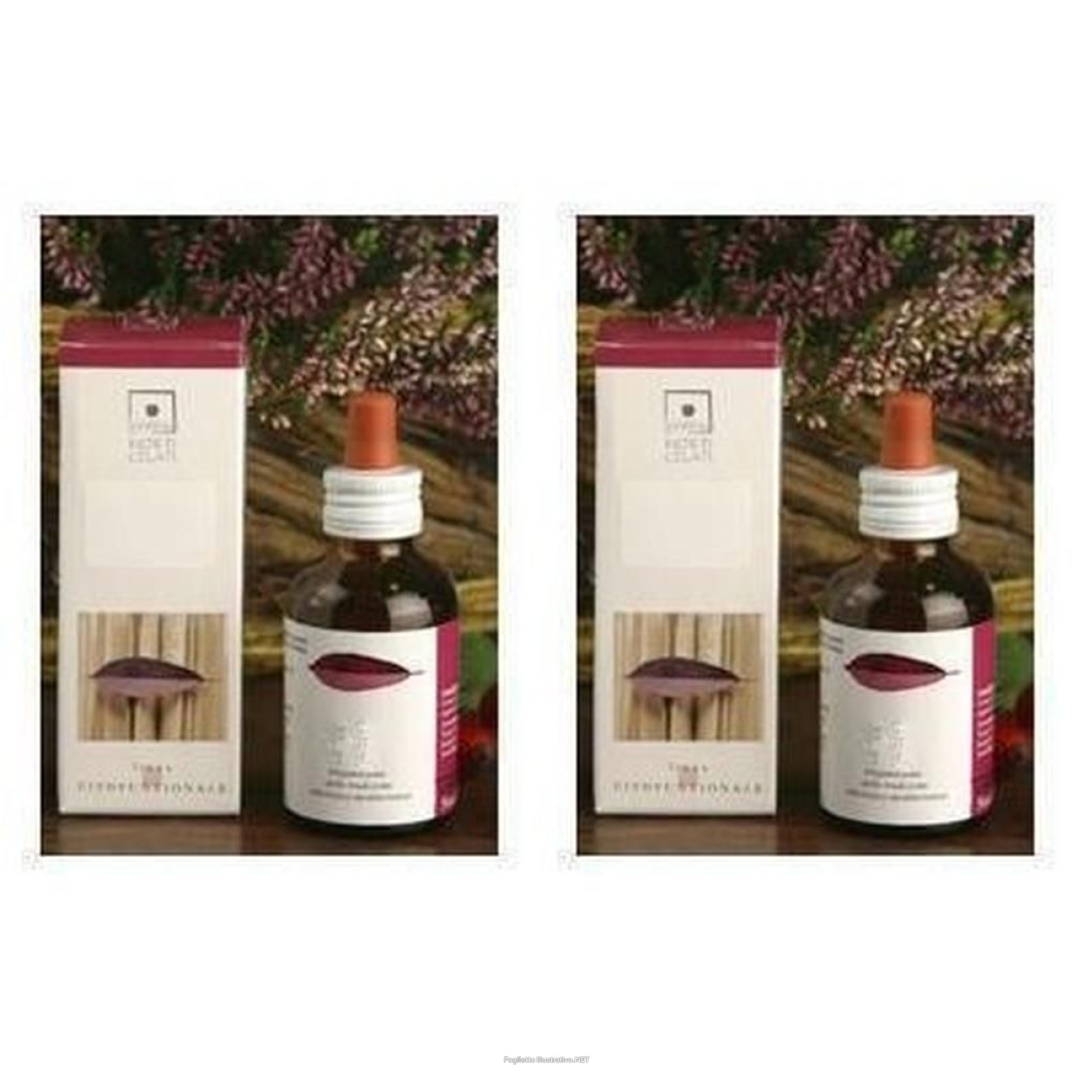 Cerca Offerte di santiveri fagus sylvatica estratto gliceroalcolico gocce 2x50 ml soluz e acquista online