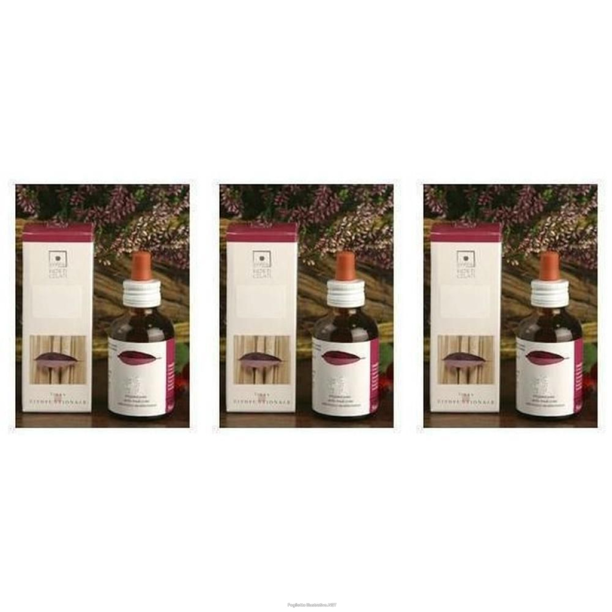 Cerca Offerte di santiveri fagus sylvatica estratto gliceroalcolico gocce 3x50 ml soluz e acquista online
