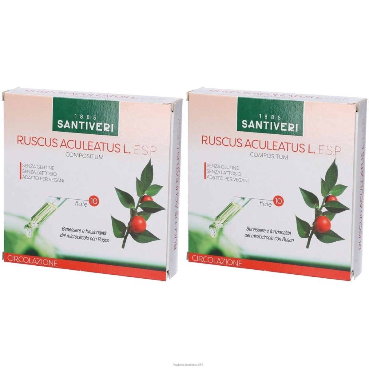 Cerca Offerte di Santiveri Ruscus Aculeatus L. E.s.p. Set da 2 2x100 ml Soluzione Orale e acquista online