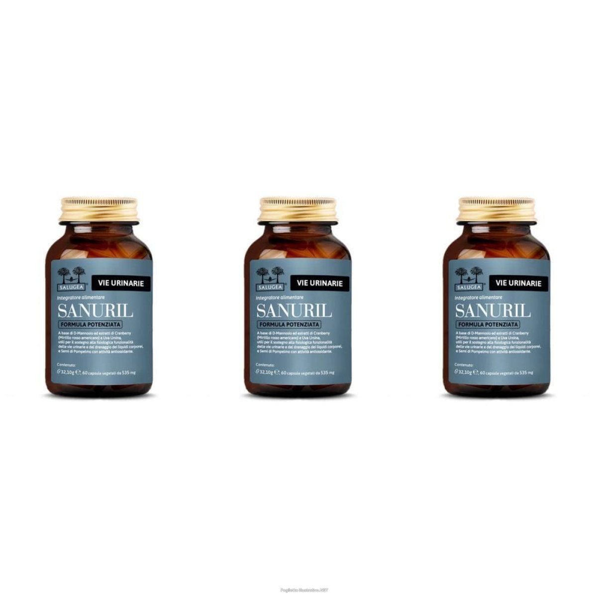 Cerca Offerte di sanuril formula potenziata salugea - vie urinarie capsule 3x60 pz ca e acquista online