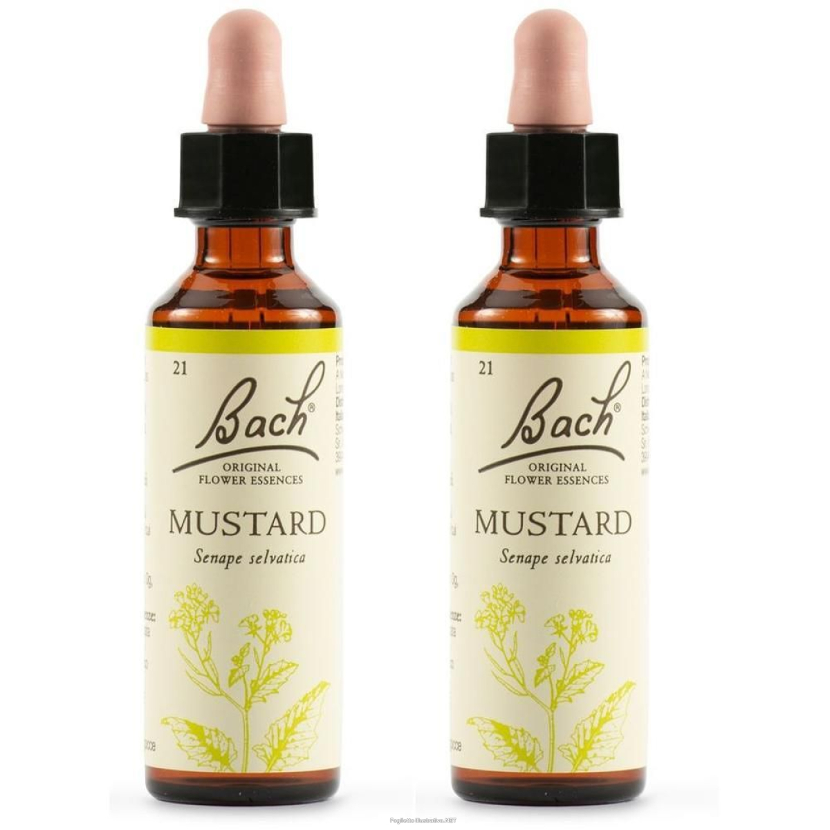 Cerca Offerte di schwabe pharma fiori di bach mustard 2x20 ml gocce orali e acquista online