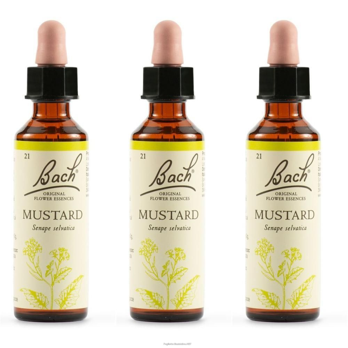 Cerca Offerte di schwabe pharma fiori di bach mustard 3x20 ml gocce orali e acquista online
