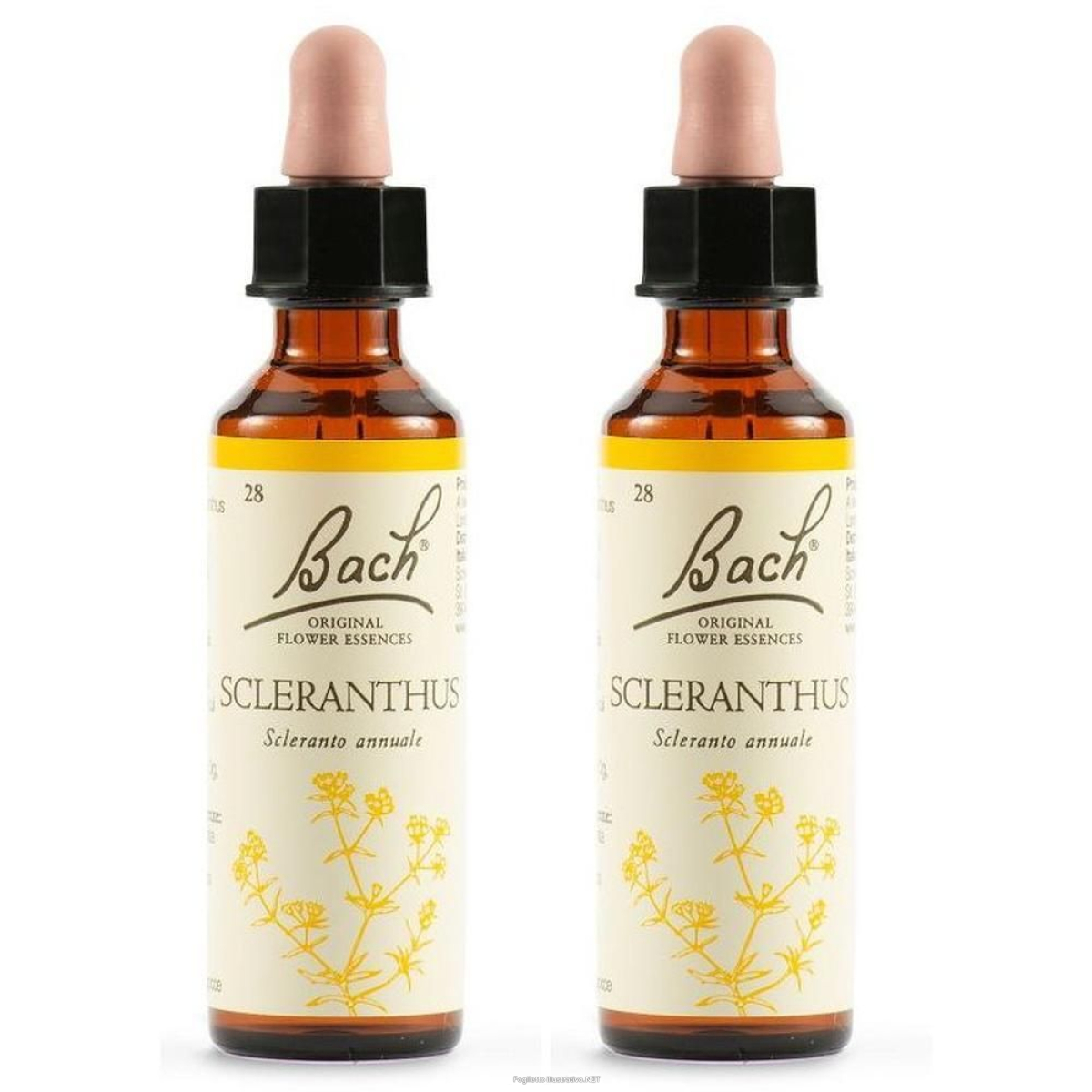 Cerca Offerte di schwabe pharma sclerantus bach orig 2x20 ml gocce orali e acquista online