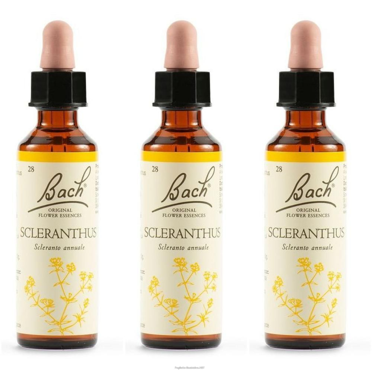 Cerca Offerte di schwabe pharma sclerantus bach orig 3x20 ml gocce orali e acquista online