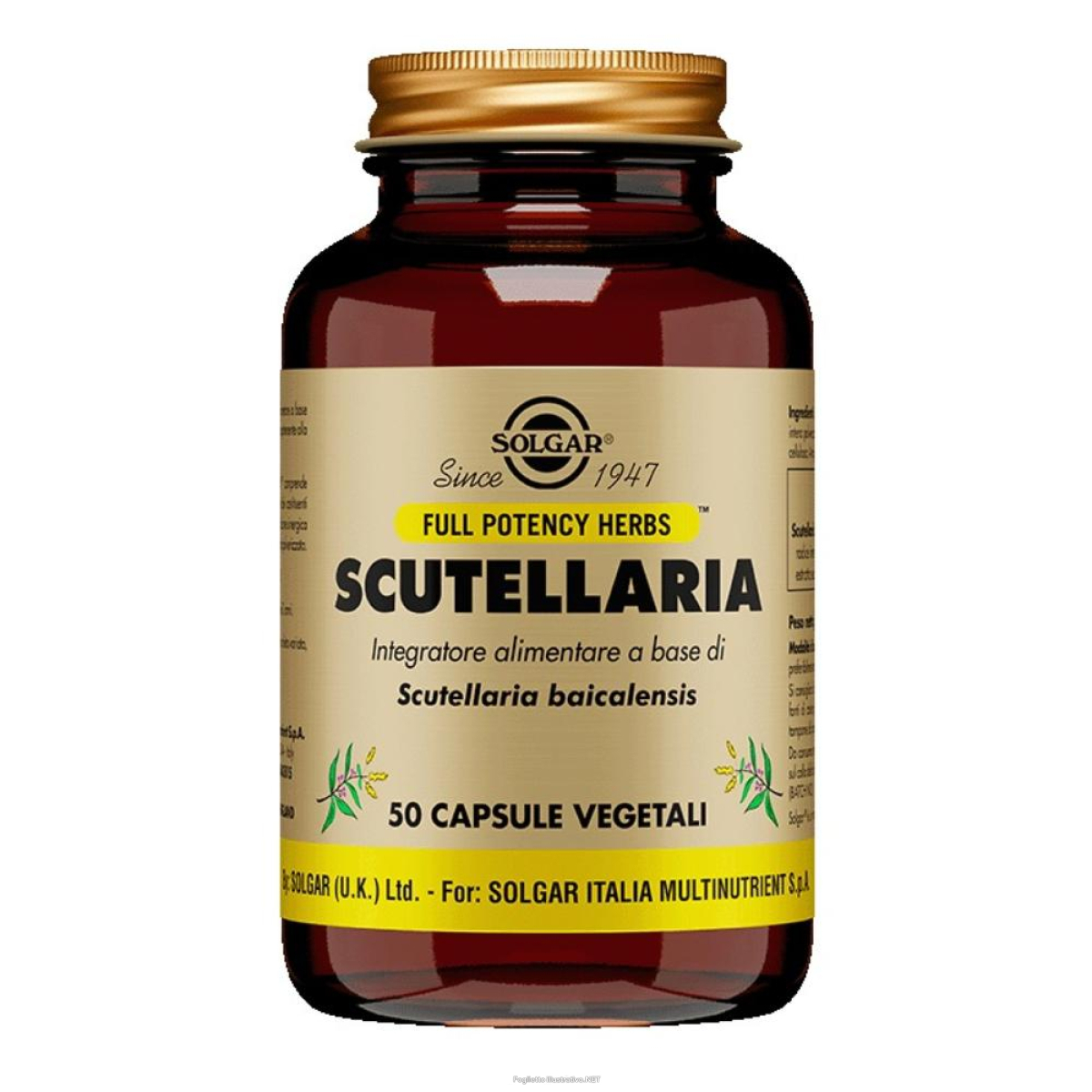 Cerca Offerte di scutellaria 50 capsule vegetali e acquista online