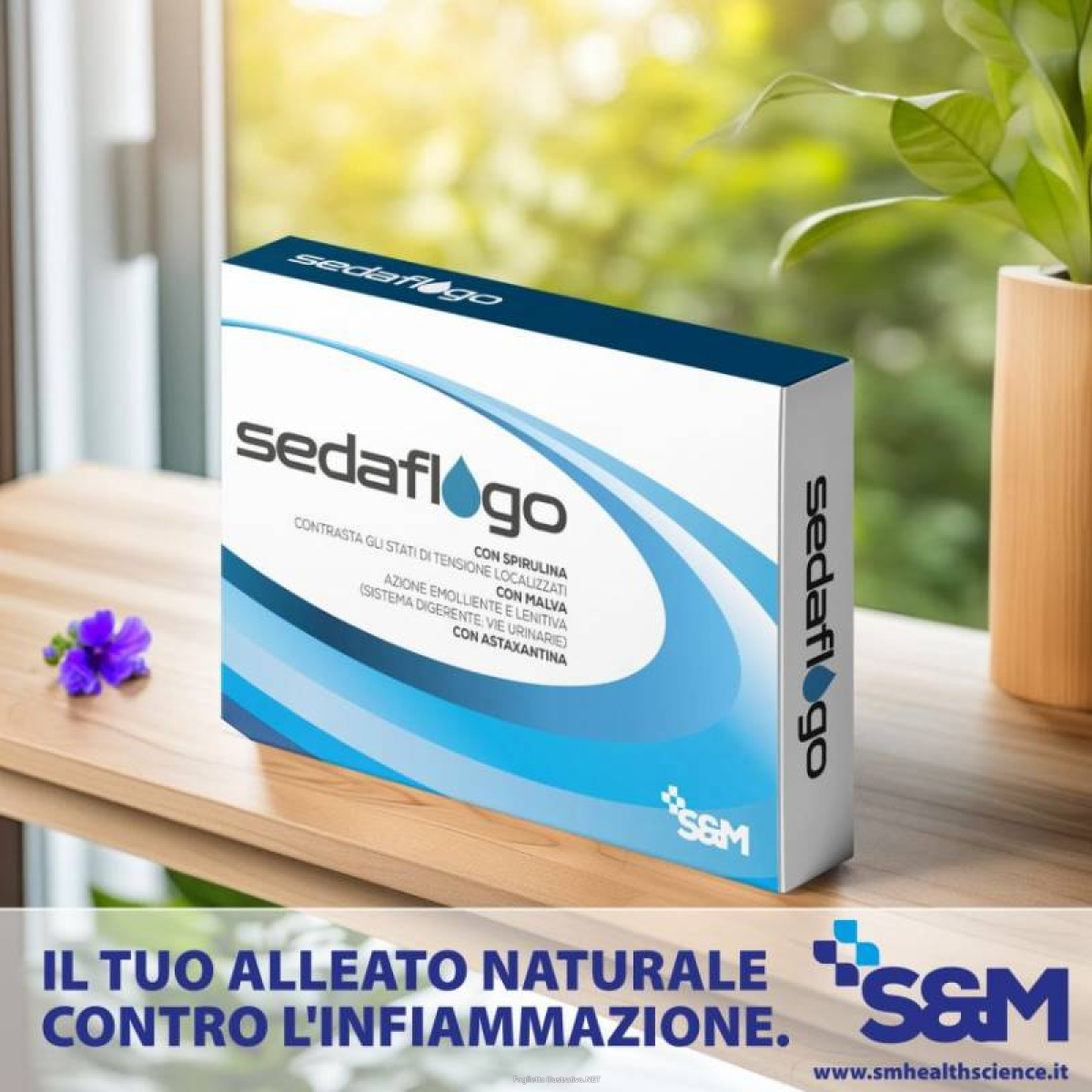 Cerca Offerte di sedaflogo 30 compresse filmate e acquista online