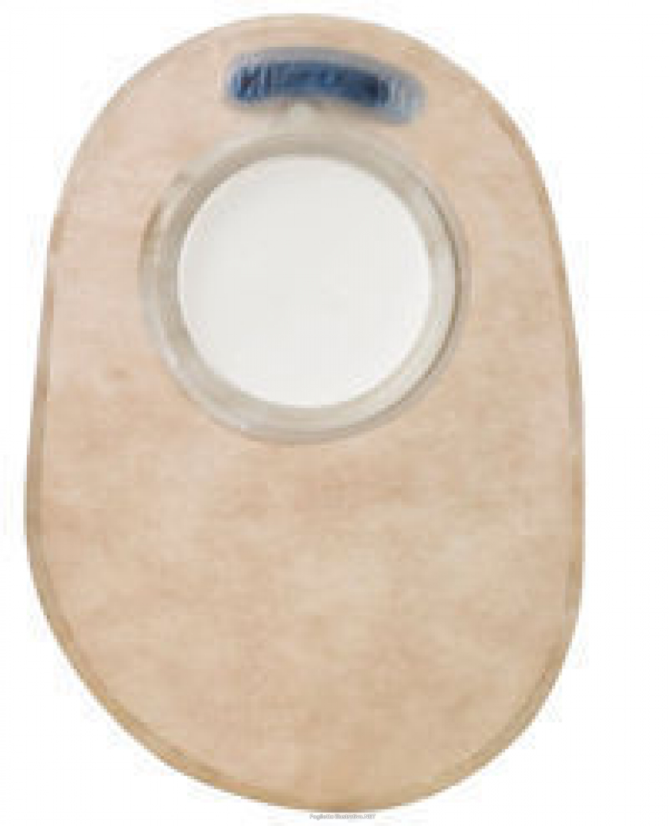 Cerca Offerte di sensura clk sac ch tr 40 mx 30 e acquista online
