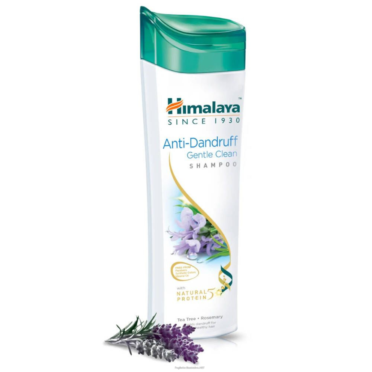 Cerca Offerte di shampoo antiforfora – gentle clean 400 ml e acquista online