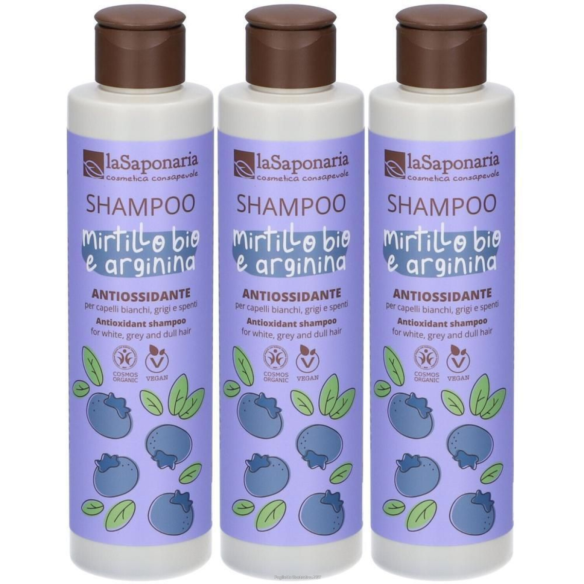 Cerca Offerte di shampoo bio antiossidante 3x200 ml e acquista online