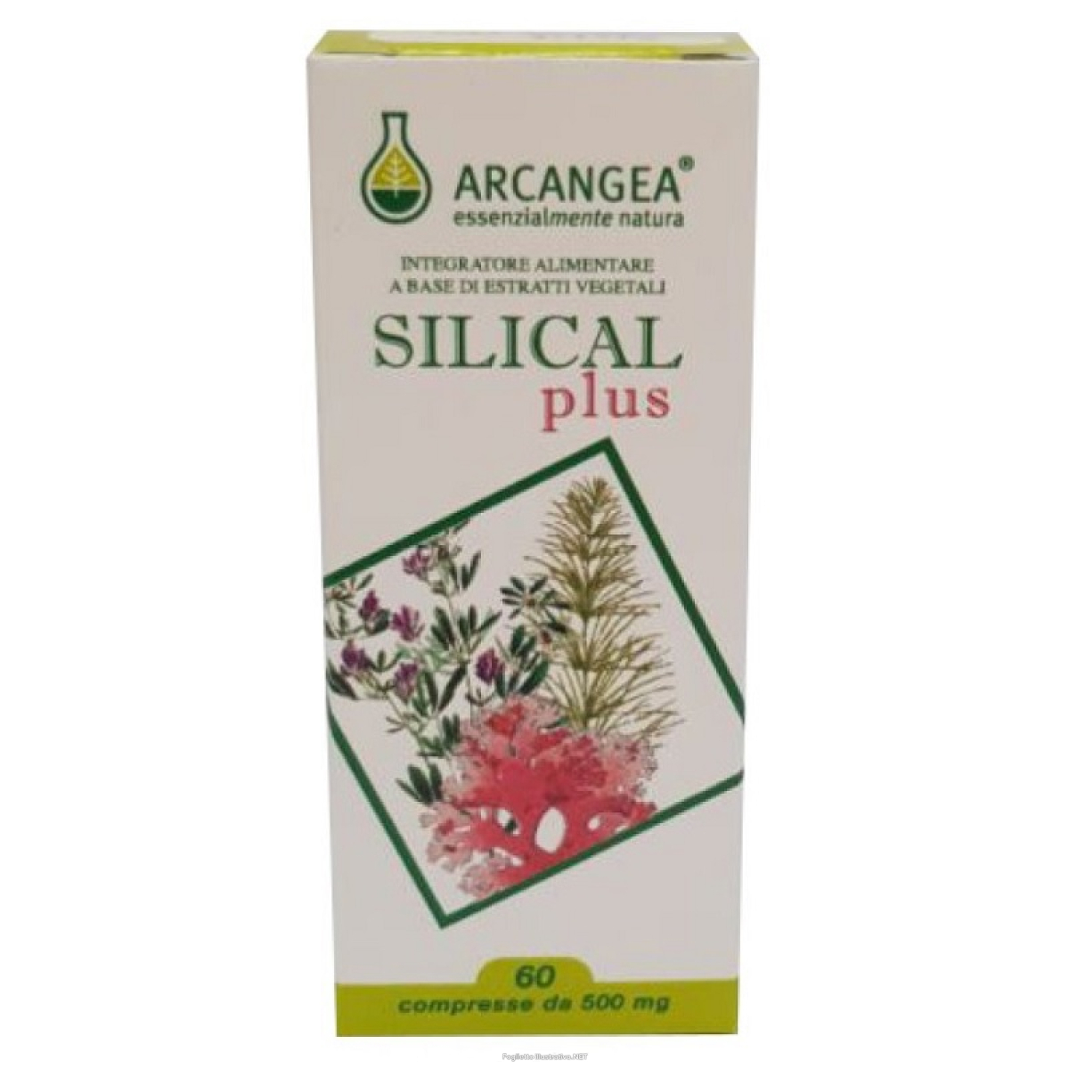 Cerca Offerte di silical plus integratore per il benessere delle ossa 60 capsule e acquista online