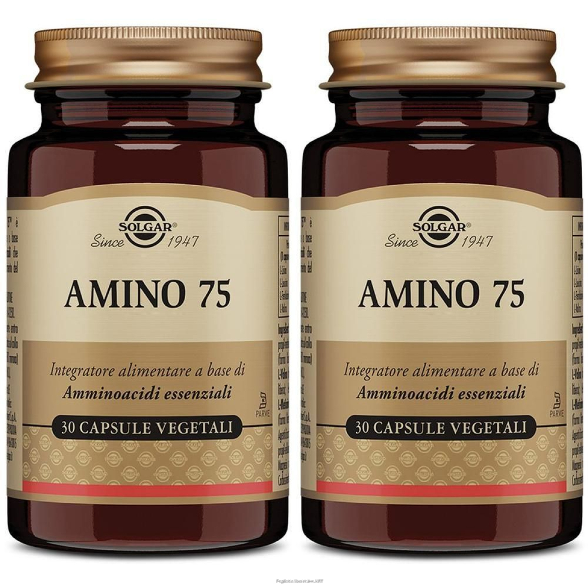 Cerca Offerte di solgar amino 75 2x22,8 g capsule e acquista online