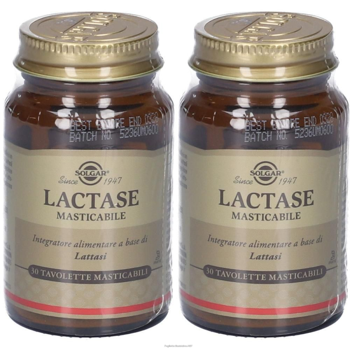Cerca Offerte di solgar lactase tavolette masticabili 2x1 pz e acquista online