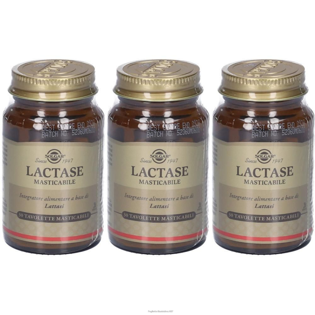Cerca Offerte di solgar lactase tavolette masticabili 3x1 pz e acquista online