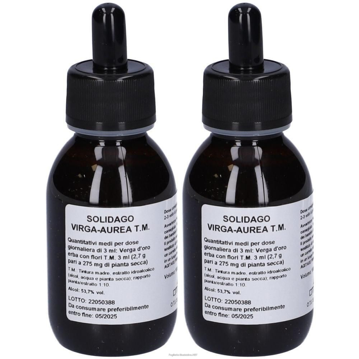 Cerca Offerte di solidago virga a tm gocce100ml 2x100 ml gocce orali e acquista online